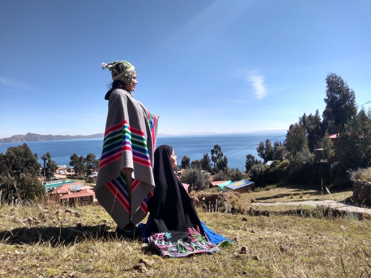 Llama frente a montaña andina